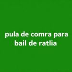 Guía de compra para baúl de rafia: estilos y usos